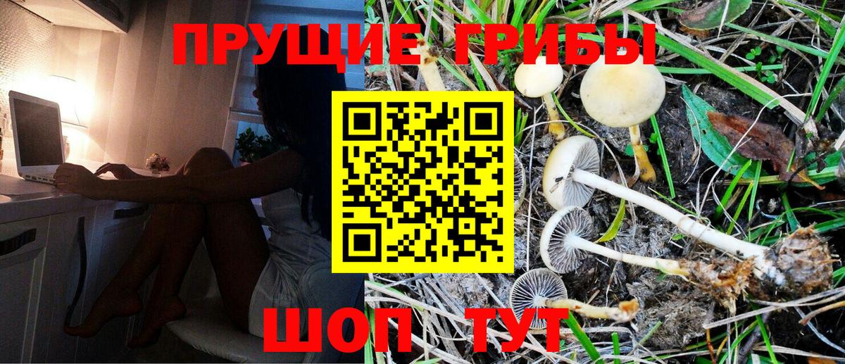 Псилоцибиновые грибы Magic Shrooms  Вход с VPN  Псилоцибиновые грибы MAGIC MUSHROOMS  Старая Купавна 