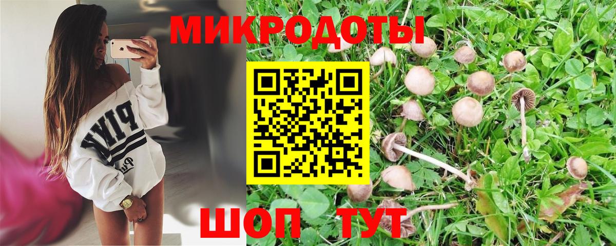 Псилоцибиновые грибы мухоморы Старая Купавна